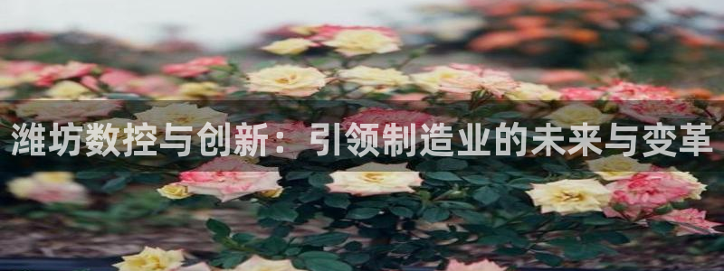 天辰a娱乐