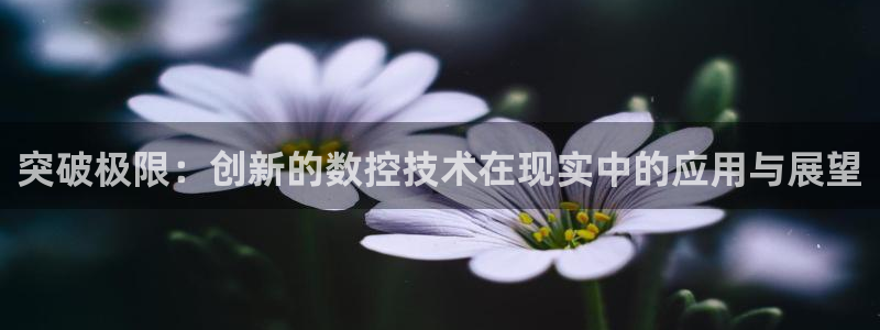 天辰娱乐好吗
