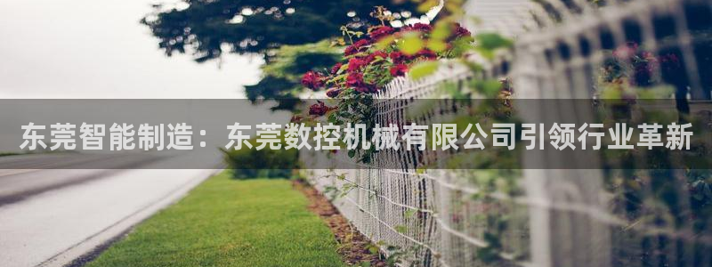 天辰娱乐平台app下载