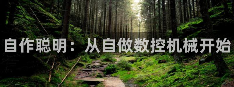 天辰娱乐鱼刺