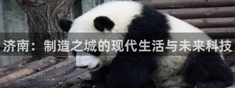 集宁天辰娱乐