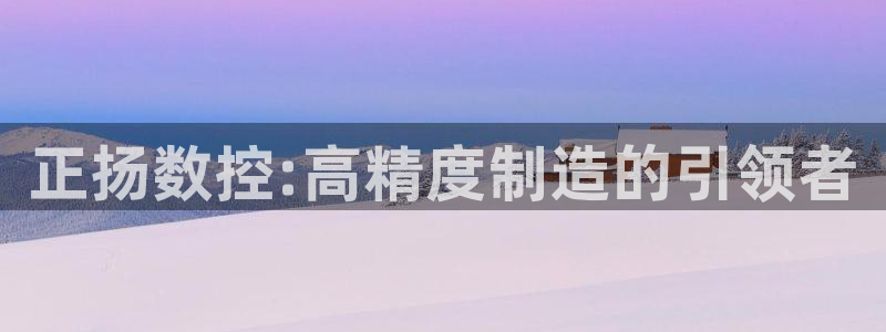天辰娱乐 qq：正扬数控:高精度制造的引领者