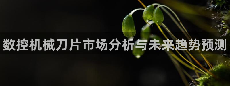 天辰娱乐软件