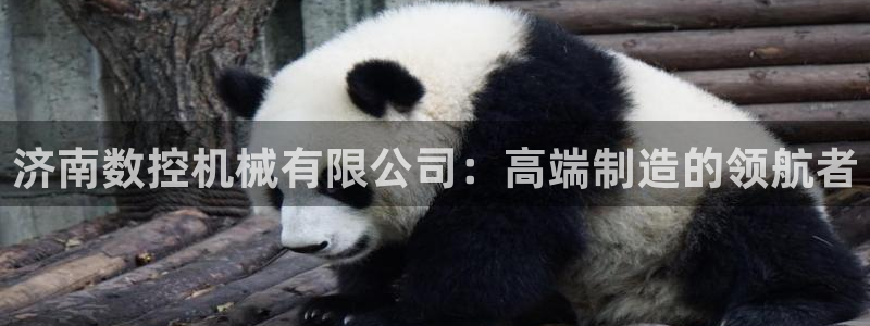 天辰娱乐入口