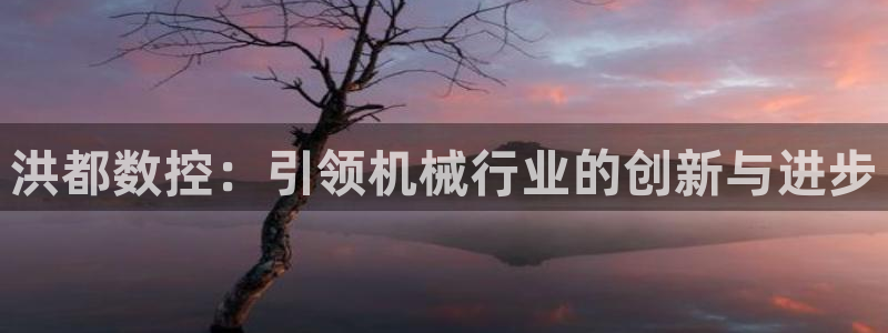 天辰娱乐股票