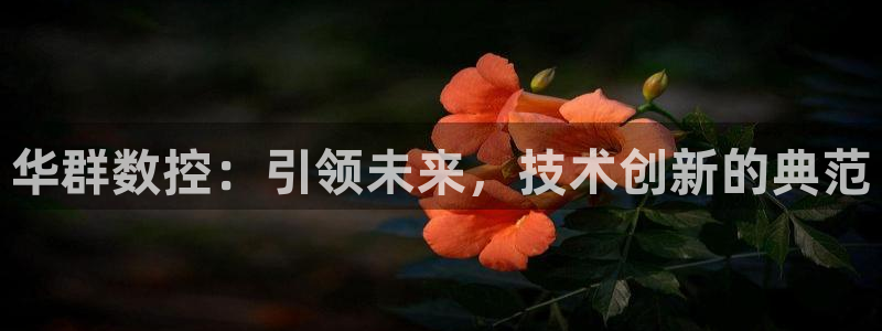 天辰娱乐登录测试：华群数控：引领未来，技术创新的典范