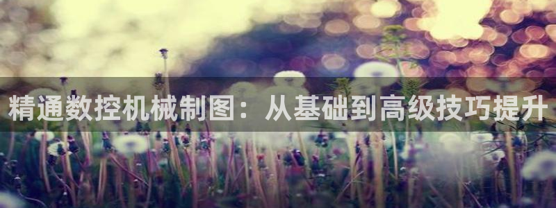 天辰彩票娱乐