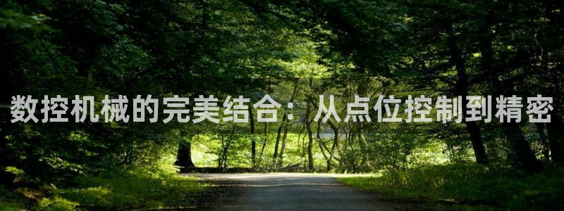 天辰娱乐游客