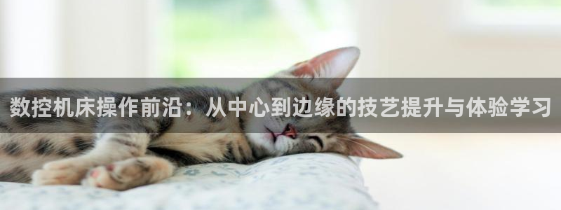 天辰娱乐软件