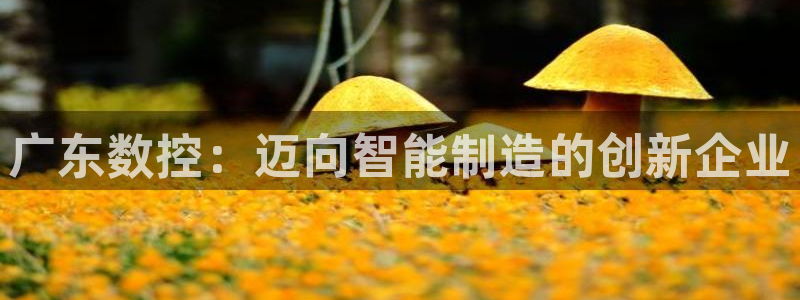 天辰娱乐娱乐：广东数控：迈向智能制造的创新企业