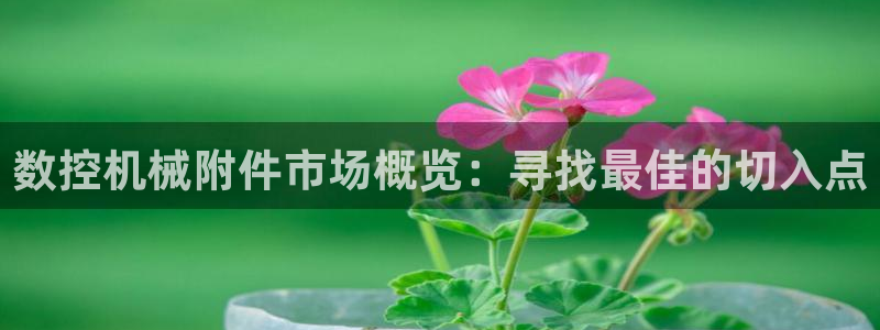 天辰娱乐1956