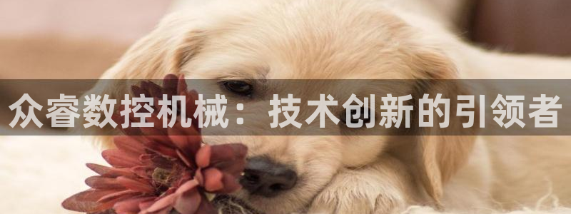 天辰宝娱乐