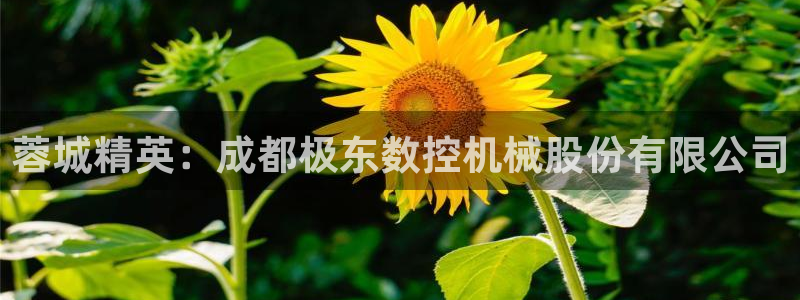 天辰娱乐新闻