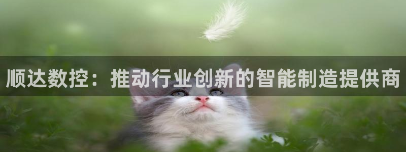 天辰娱乐 . 鱼刺