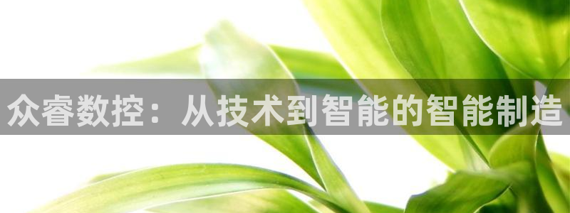 集宁天辰娱乐