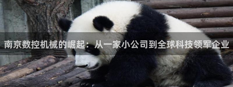 天辰团队贝高娱乐