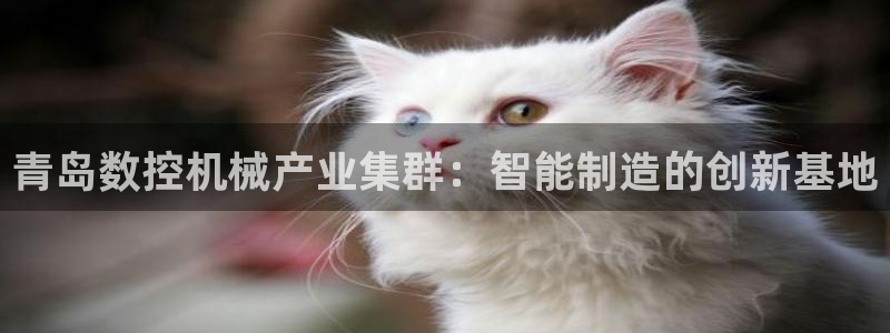 天富娱乐与天辰娱乐