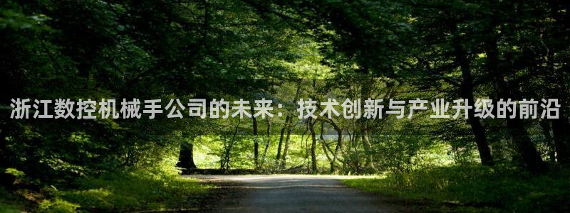 手机上怎么下载天辰娱乐