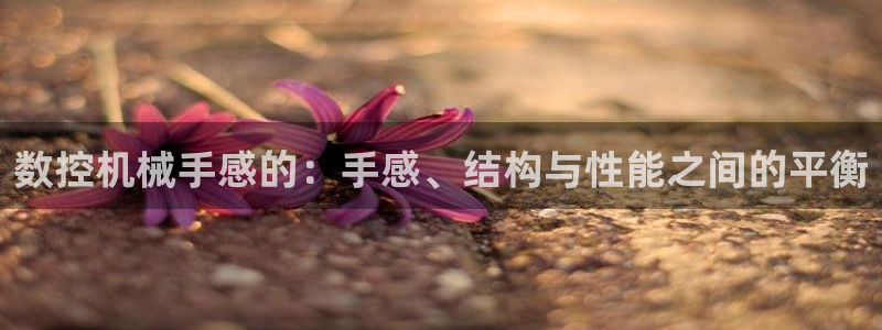 天辰娱乐平台测速