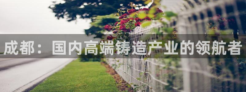天辰娱乐44616：成都：国内高端铸造产业的领航者