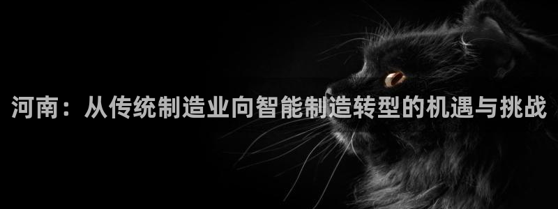 天辰团队贝高娱乐