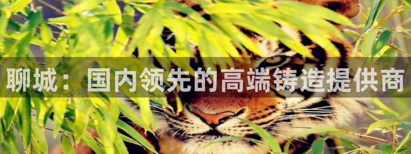 天辰娱乐 首选