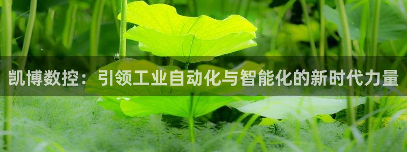 天辰娱乐7天22650