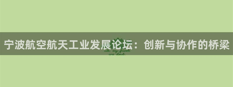 天辰娱乐平台入口：宁波航空航天工业发展论坛：创新与协作的桥梁