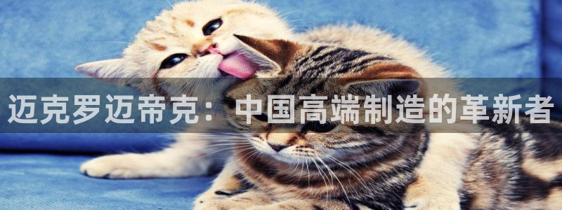 天辰娱乐下载地址