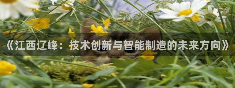天辰娱乐扣钱：《江西辽峰：技术创新与智能制造的未来方向》