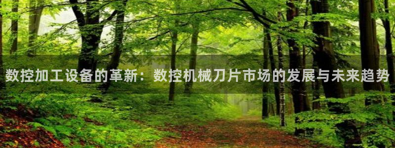 天辰娱乐 44516：数控加工设备的革新：数控机械刀片市场的发展与未来趋势