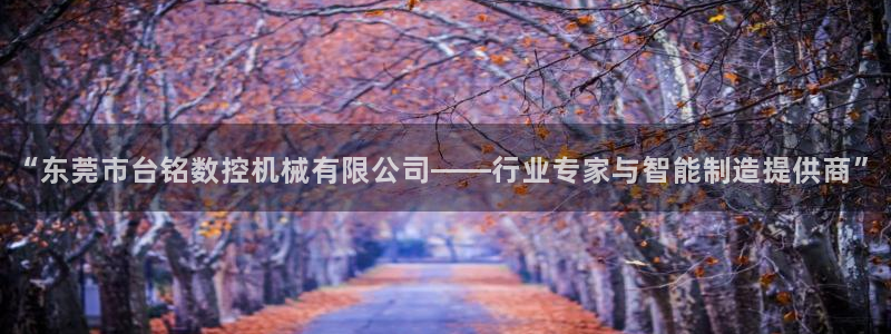 天辰娱乐7天22650：“东莞市台铭数控机械有限公司——行业专家与智能制造提供商”