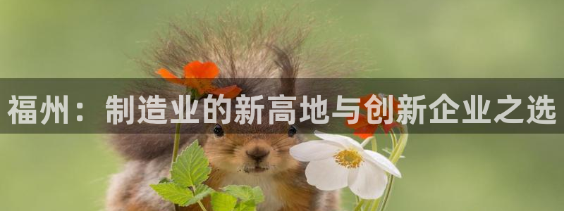 天辰娱乐平台地址在哪里