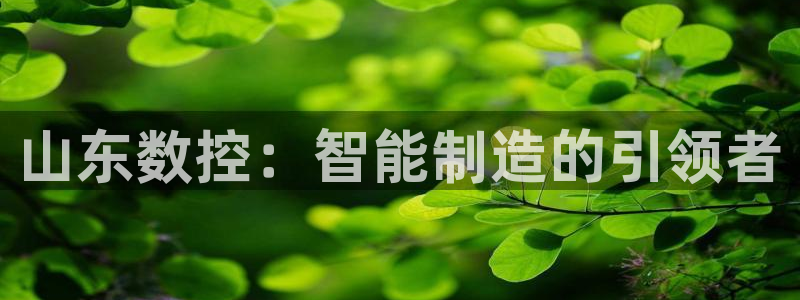 集宁天辰娱乐