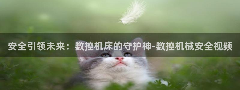 天辰娱乐675138