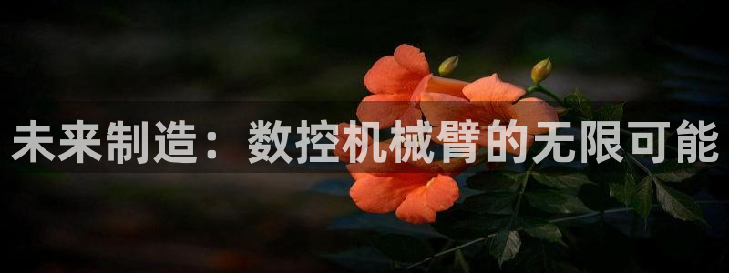 天辰娱乐-18113