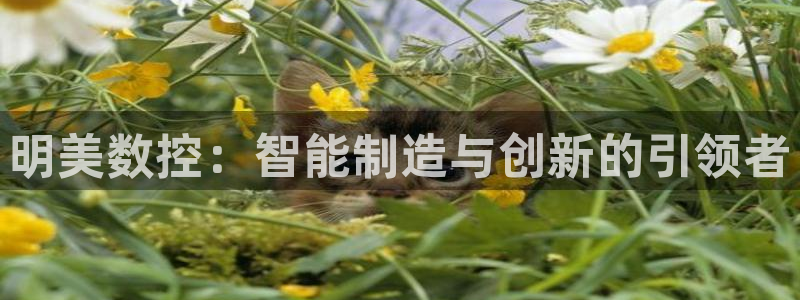 天辰娱乐网址娱乐游戏