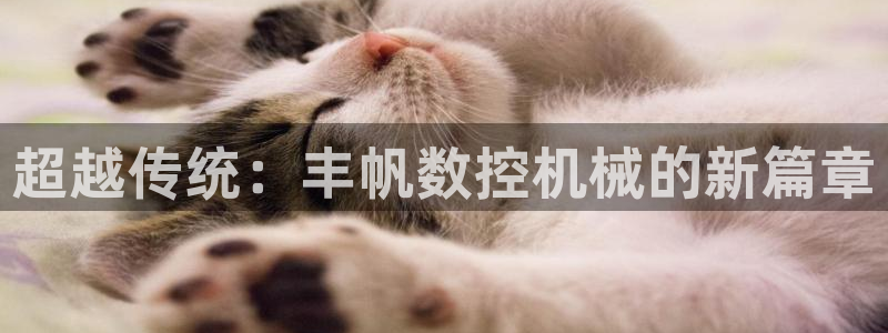 天辰娱乐软件：超越传统：丰帆数控机械的新篇章