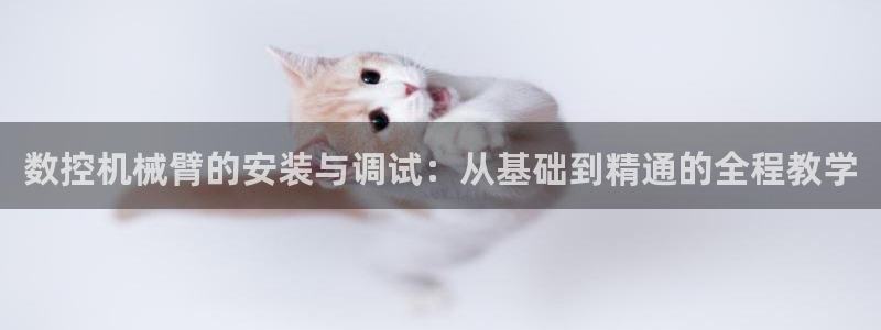 天辰娱乐服务