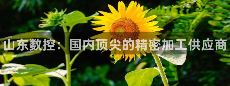 天辰娱乐51137