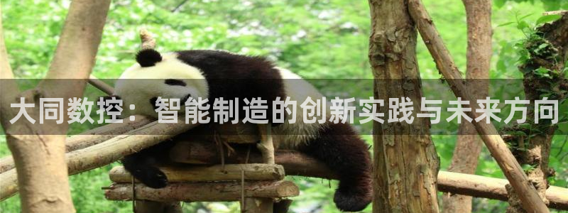 天辰娱乐直属