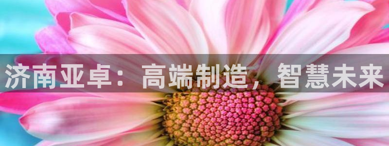 天辰娱乐天辰宝
